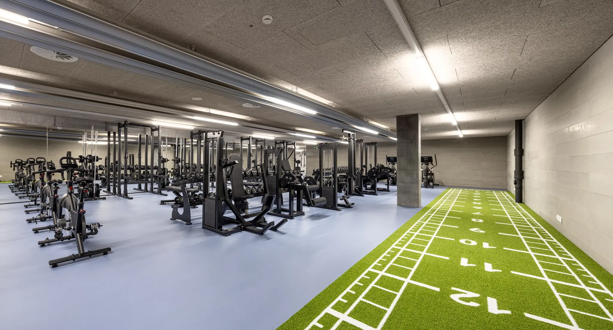 Public Sports Facilities and Educational Institutions