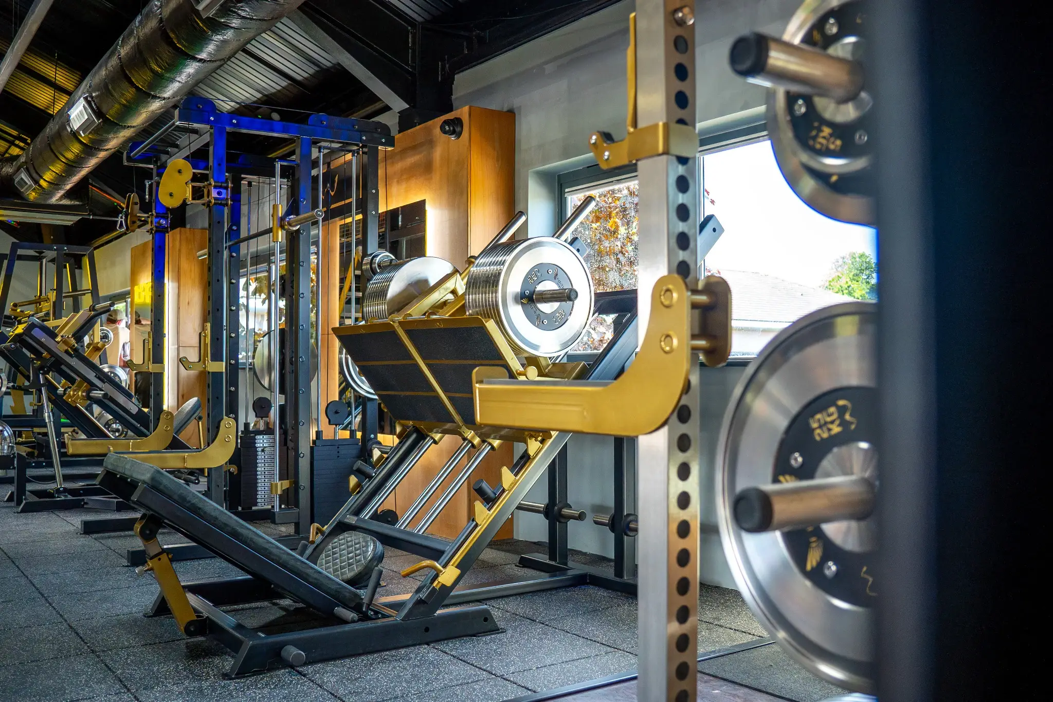 Watson Gym Equipment